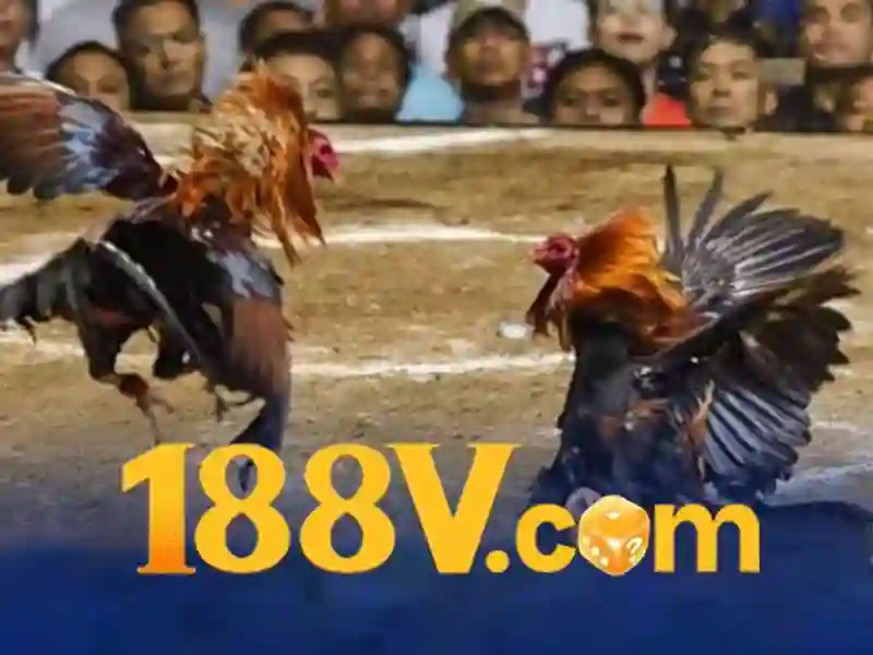 188v official: Nền tảng số tối ưu và trải nghiệm 188v