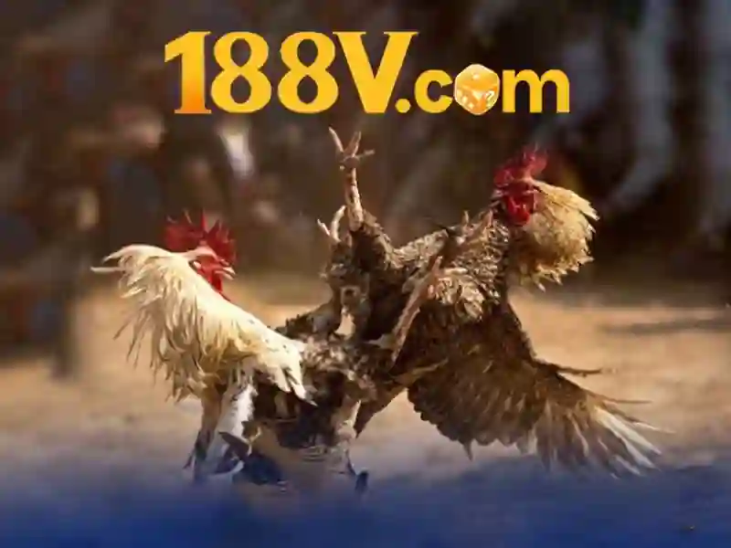 review 188v – Tổng quan, trải nghiệm và đánh giá