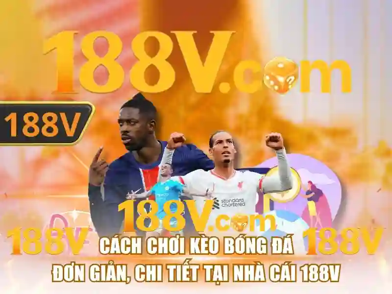 188v vom – Trải nghiệm nổi bật và đánh giá 188v vom toàn diện
