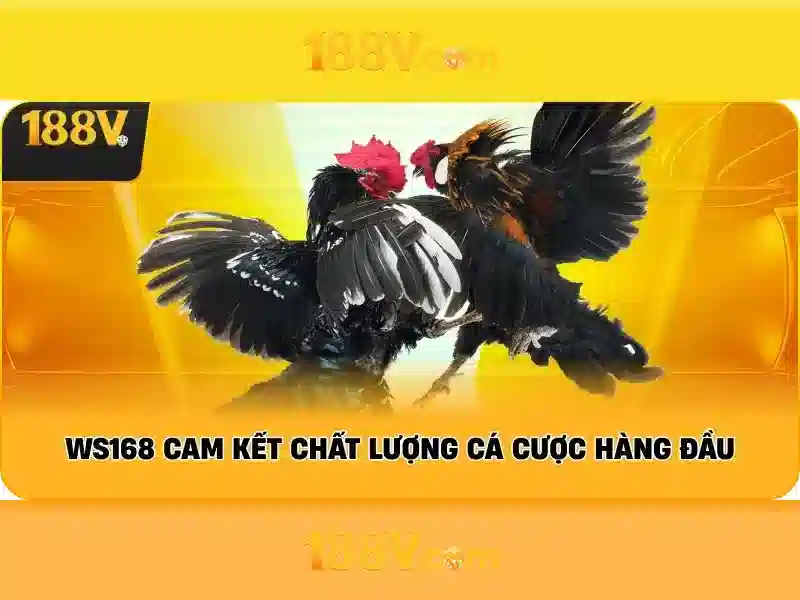 Khuyến mãi 188v nổi bật và trải nghiệm hấp dẫn