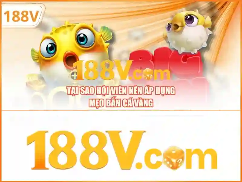 link 188v – Khám phá giá trị và ứng dụng cho người dùng