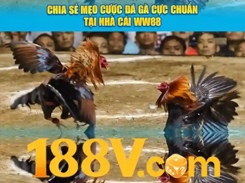 bắn cá 188v – Trải nghiệm đột phá và đánh giá toàn diện
