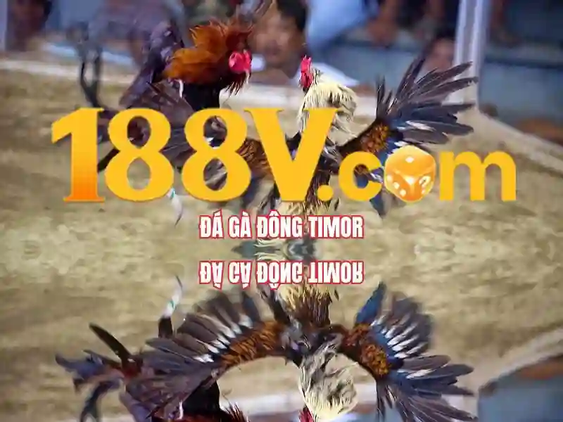 188v vom – Trải nghiệm và đánh giá
