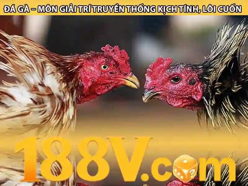 188v bet – Tổng quan, trải nghiệm và đánh giá