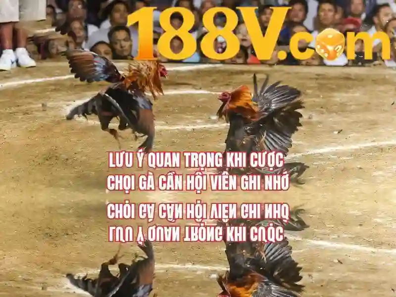 188v uy tín không – Đánh giá, trải nghiệm và tương lai thương hiệu