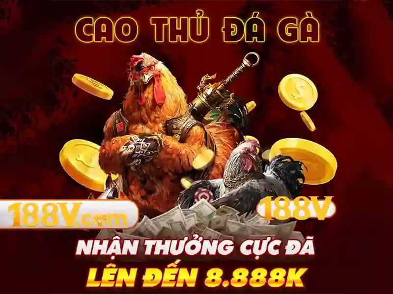 188v chính thức: thương hiệu và trải nghiệm người dùng